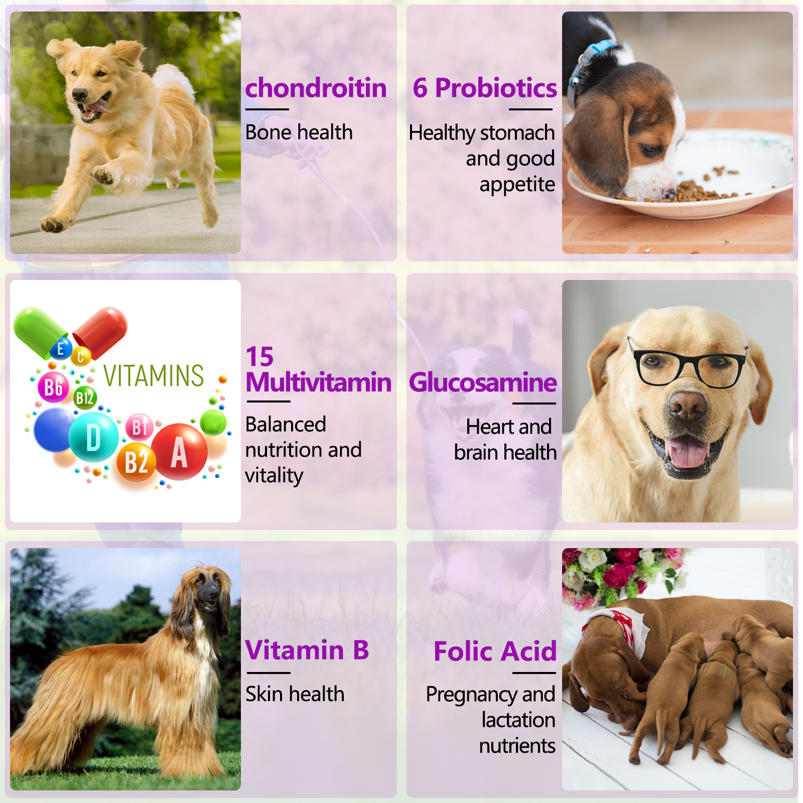 Oimmal 15-IN-1 Multivitamin Soft Chews for Dogs