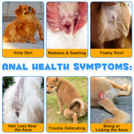 Oimmal Dogs Anal Gland Support Powder 120g