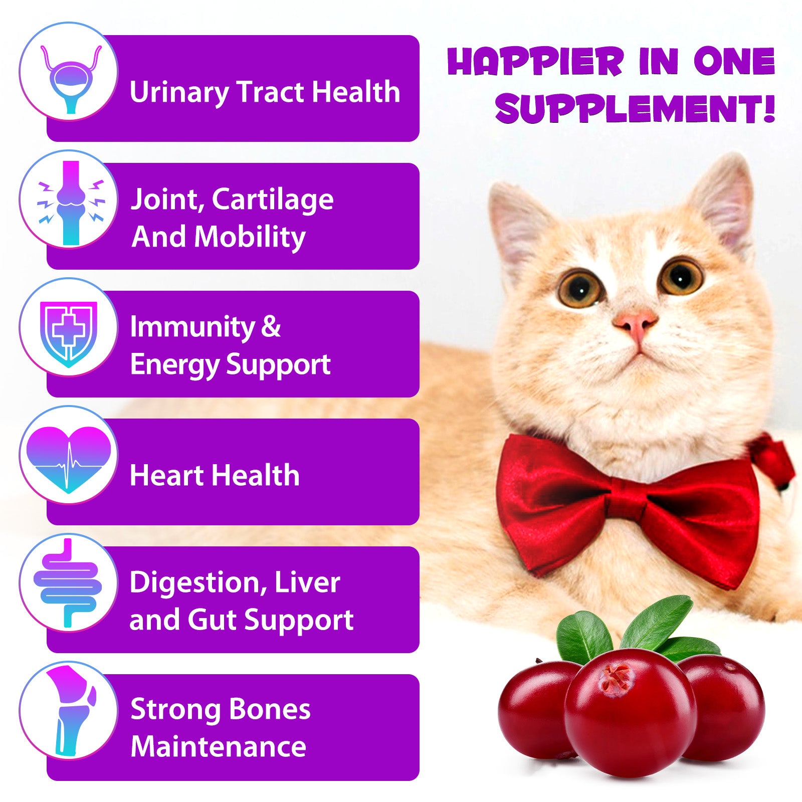 Oimmal 15 in1 Multivitamin Drops for Cat