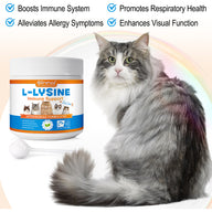 Oimmal L-Lysine Immune Support for Cat