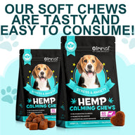 Oimmal Hemp Calming Chews - 60 Chews / Beef Flavor