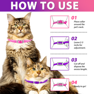 Oimmal Flea & Tick Collar for Cats (4 Collars) - Pink&Purple