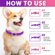 Oimmal Flea & Tick Collar for Dogs (4 Collars) - Pink&Purple