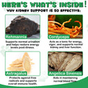 Oimmal Kidney Support for Dogs