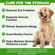 Oimmal Dog Probiotics Powder 120g - 1Pack