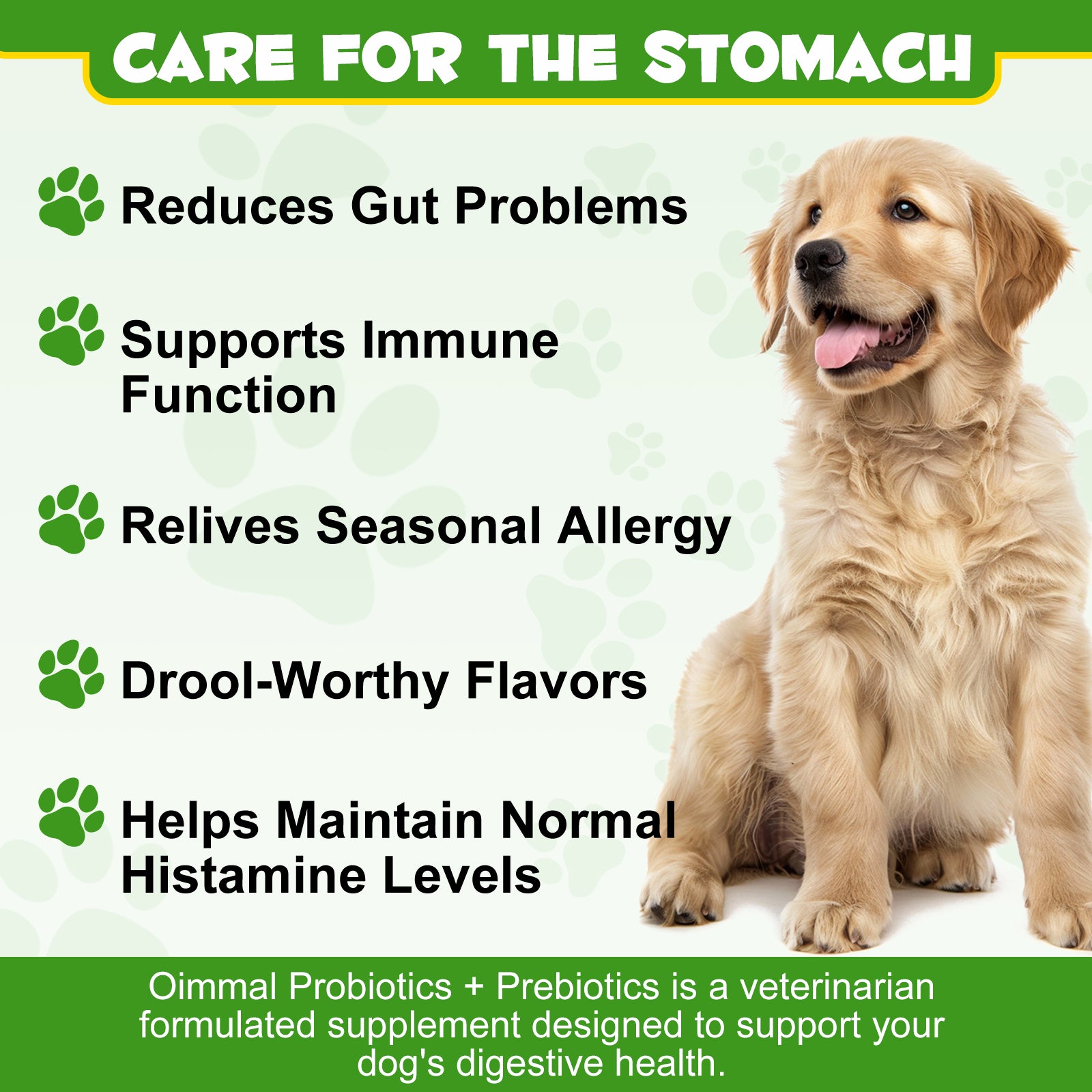 Oimmal Dog Probiotics Powder 120g - 1Pack