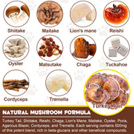 Oimmal Wild Mushroom Superblend 120g - 1Pack