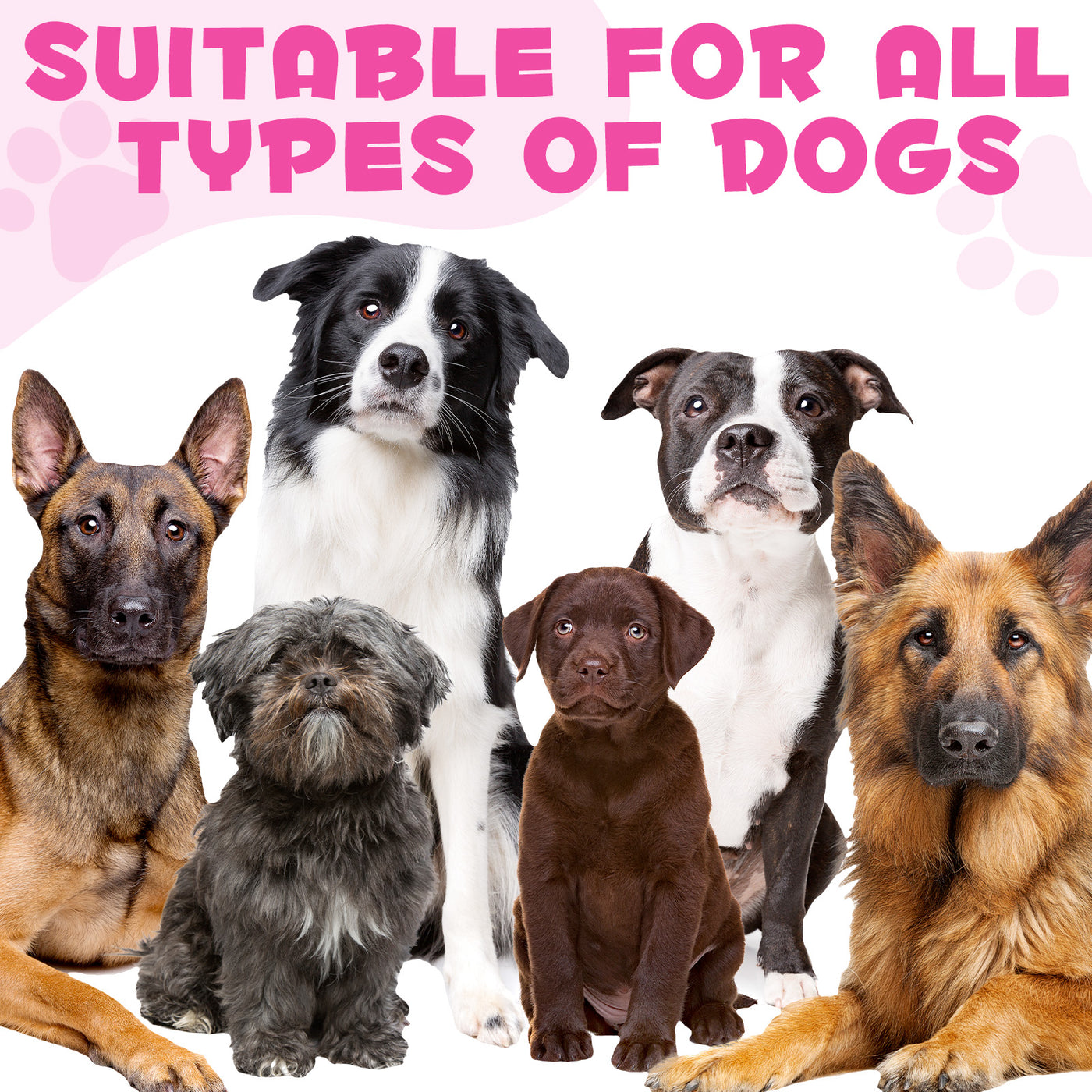 Oimmal Collagen Drops for Dogs - 2Pack
