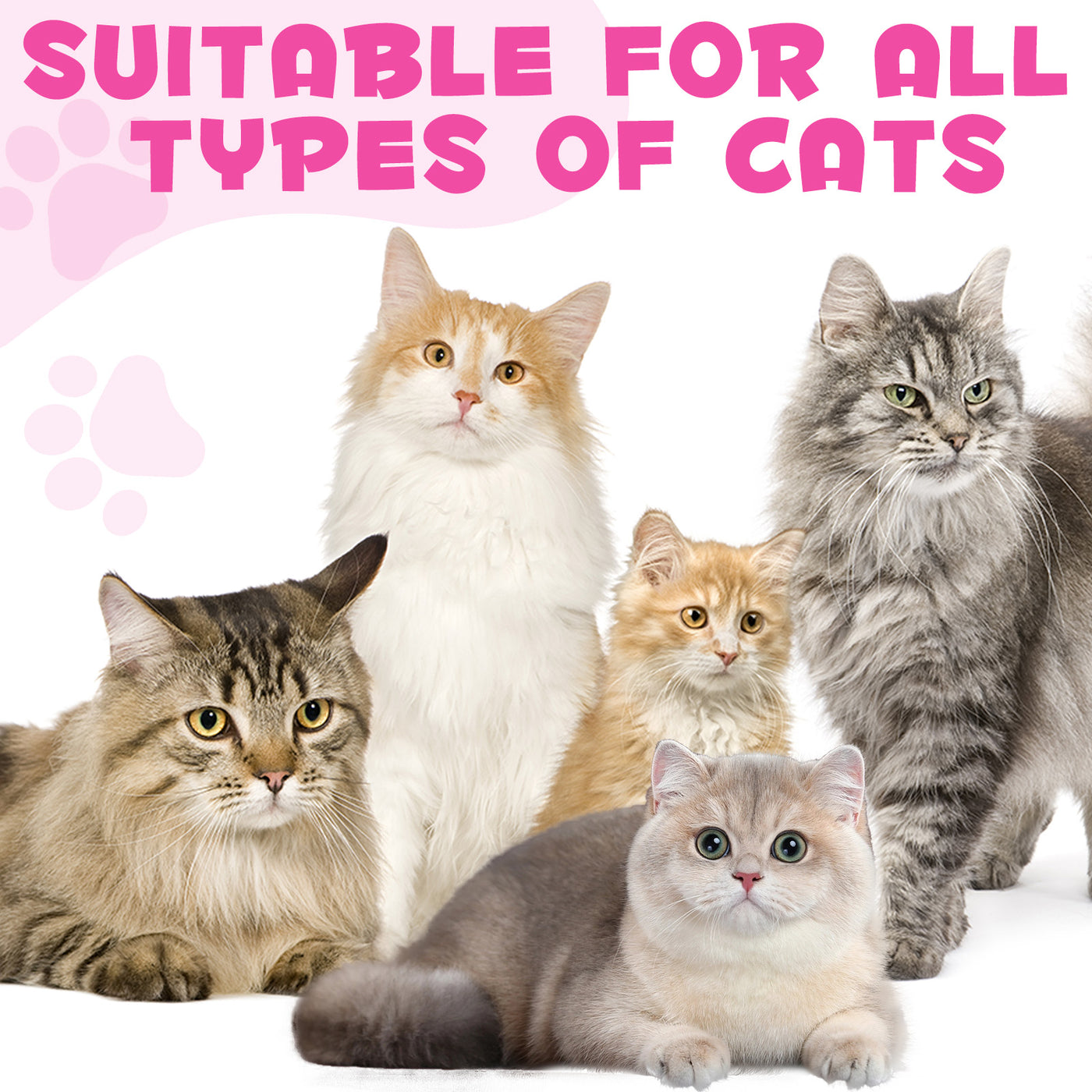 Oimmal Collagen Drops for Cats