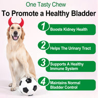 Oimmal 150pcs Dog Bladder Control Chews (Peking Duck Flavor) - 2Pack