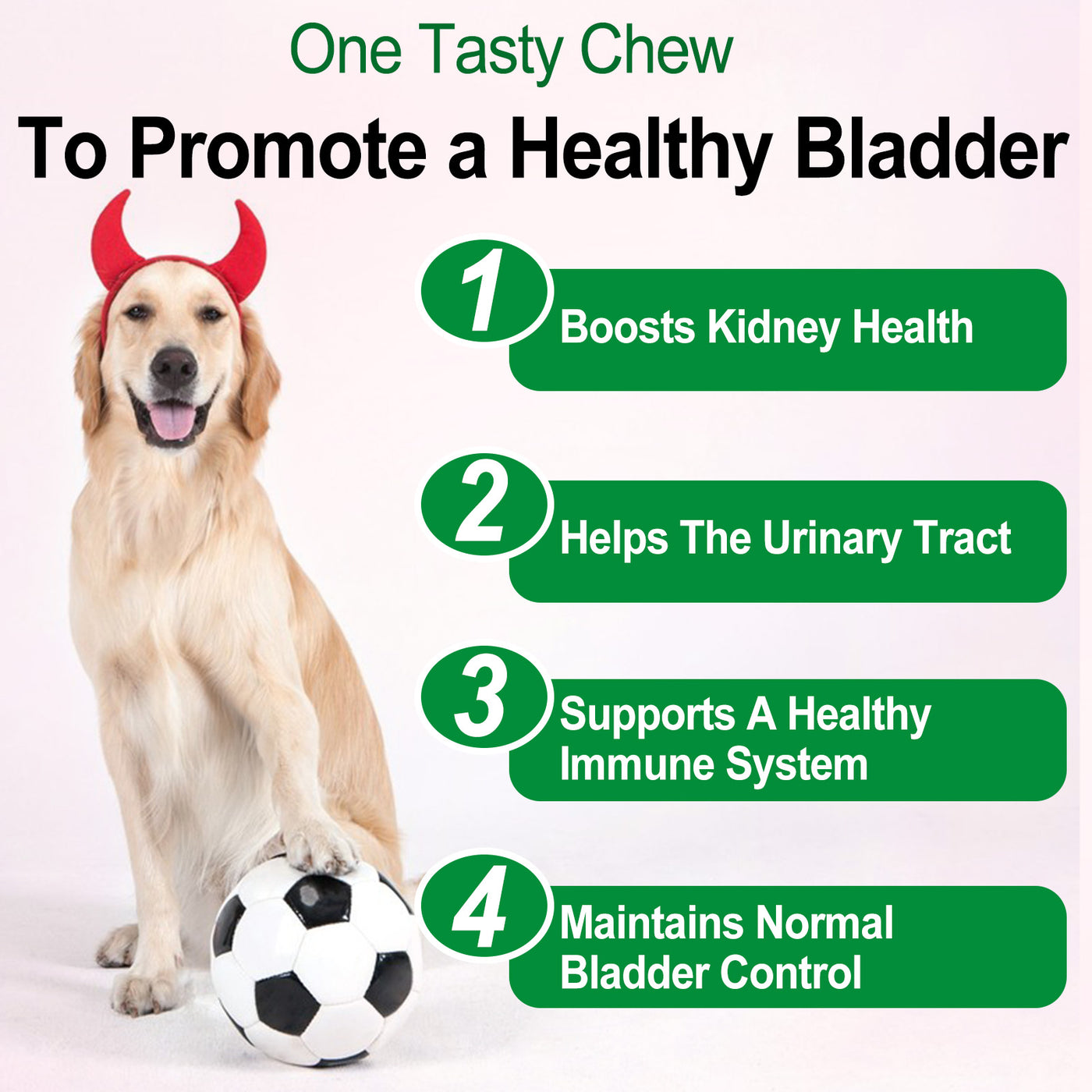 Oimmal 150pcs Dog Bladder Control Chews (Peking Duck Flavor) - 2Pack