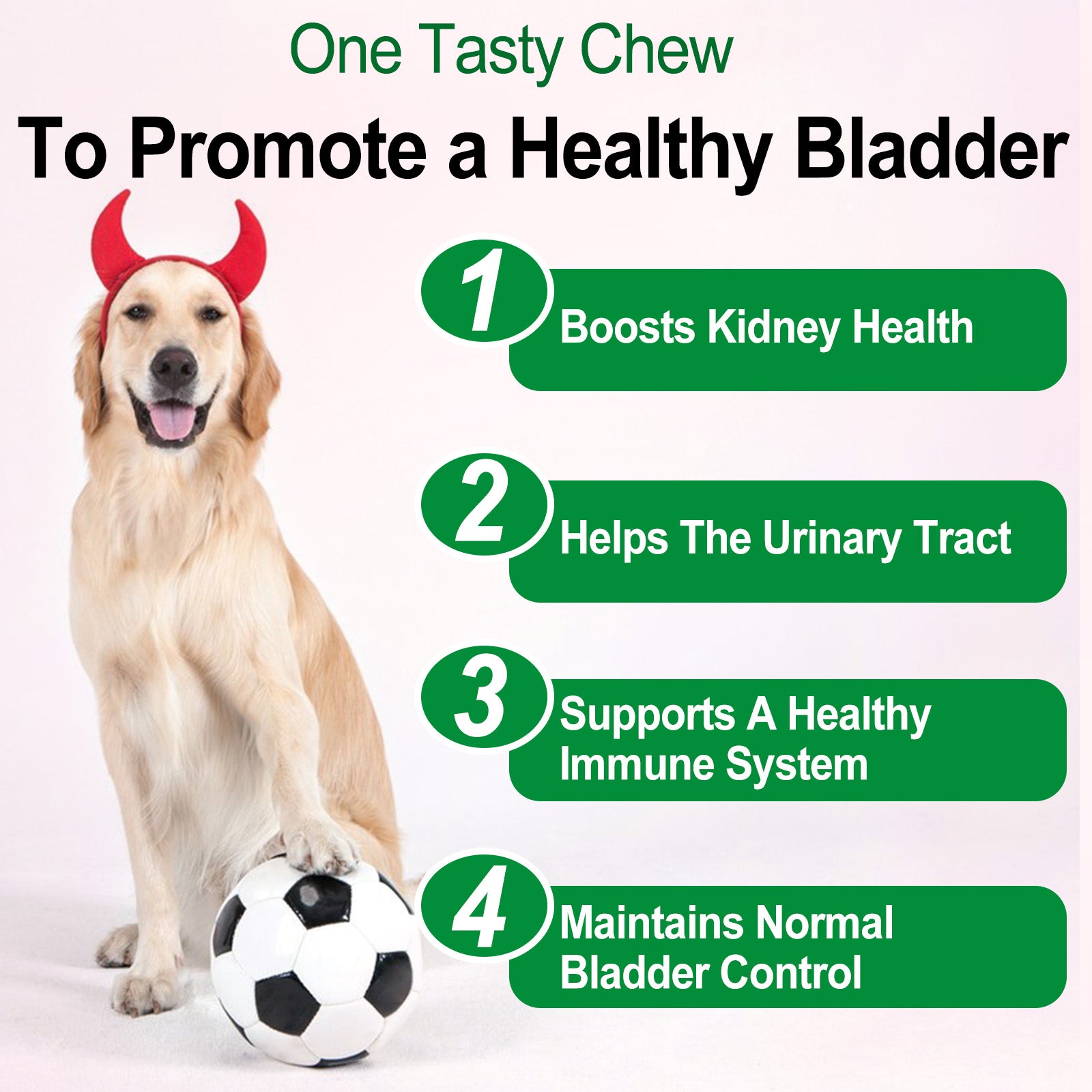 Oimmal 150pcs Dog Bladder Control Chews (Peking Duck Flavor) - 2Pack