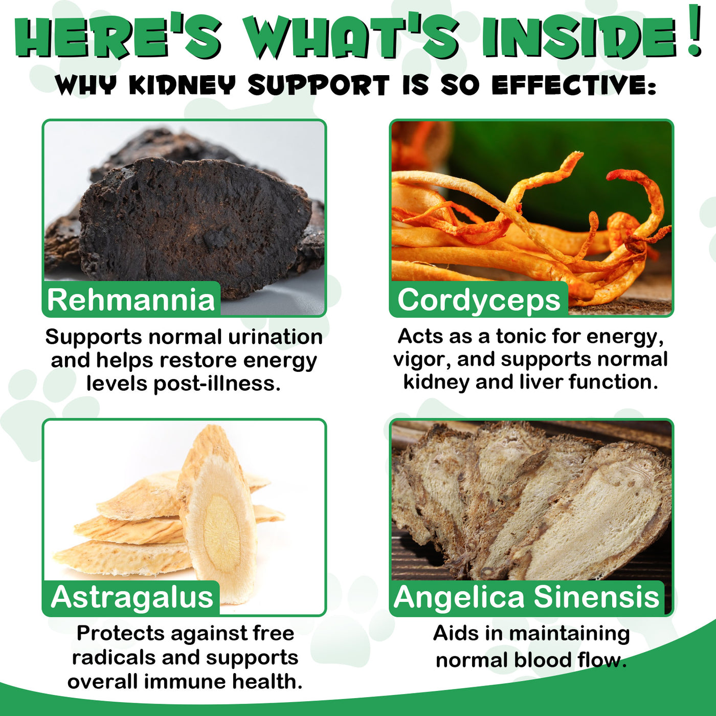 Oimmal Kidney Support for Cats