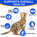 Oimmal Taurine Drops for Cat - 1Pack