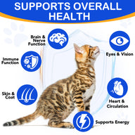 Oimmal Taurine Drops for Cat - 1Pack