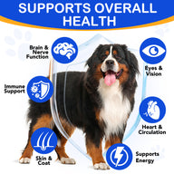 Oimmal Taurine Drops for Dog - 1Pack