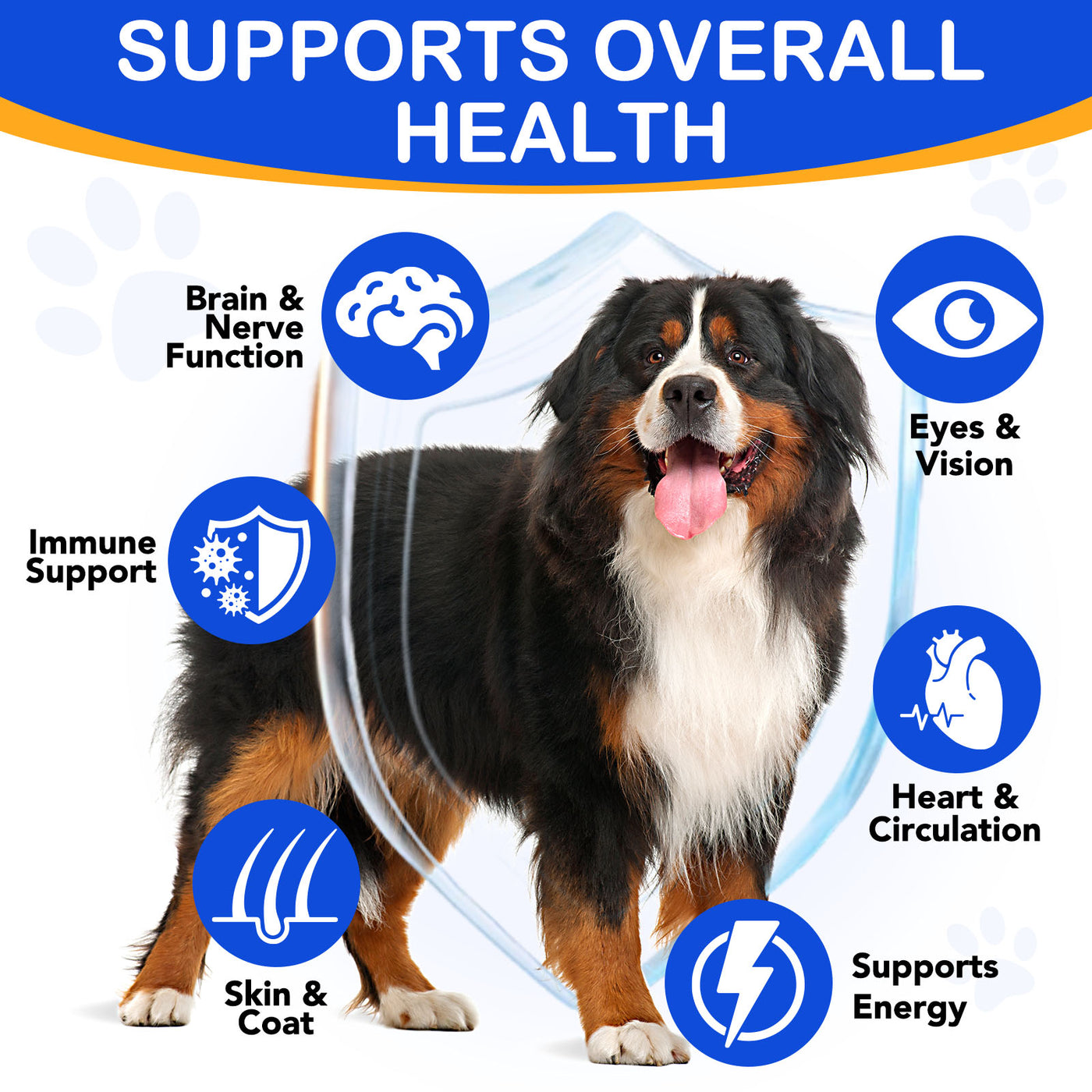 Oimmal Taurine Drops for Dog - 1Pack