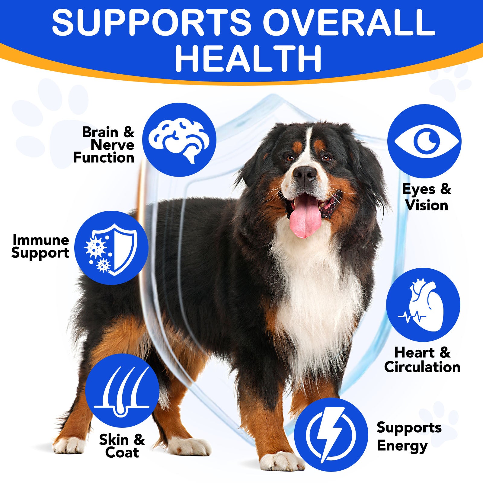Oimmal Taurine Drops for Dog - 1Pack
