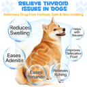 Oimmal Dogs Anal Gland Support Powder 120g