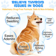 Oimmal Dogs Anal Gland Support Powder 120g