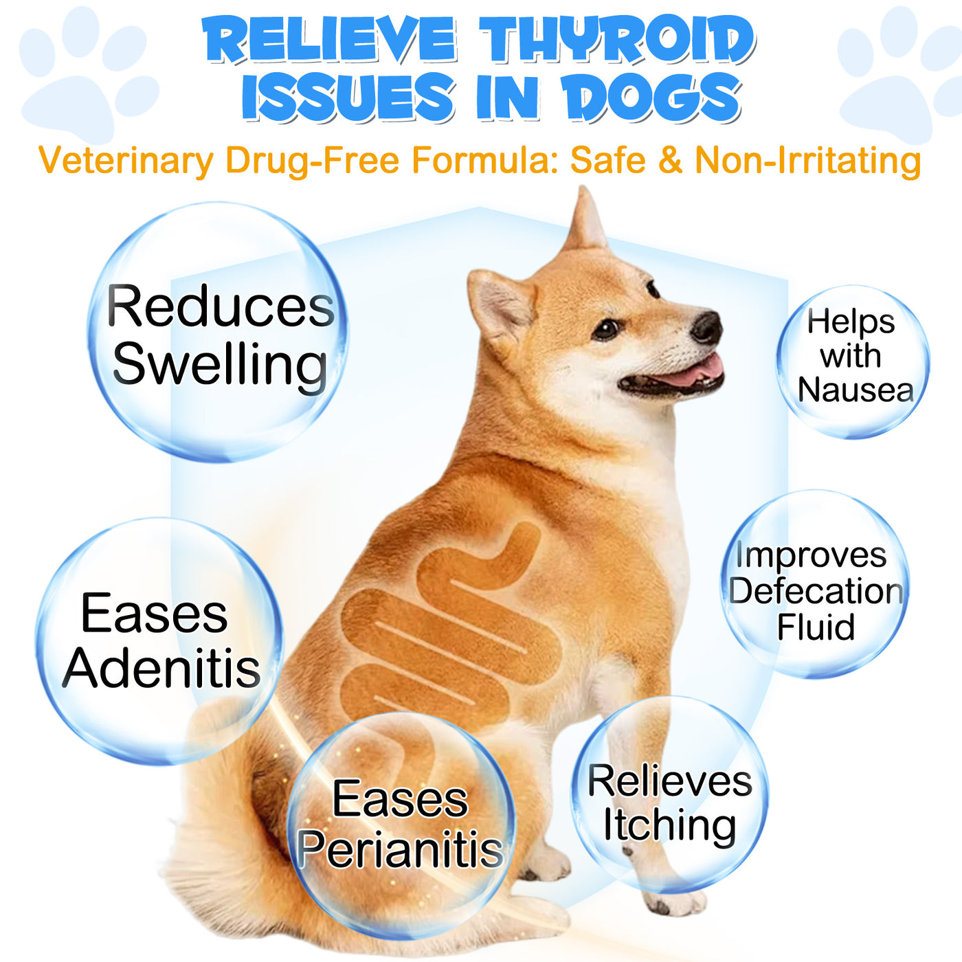 Oimmal Dogs Anal Gland Support Powder 120g