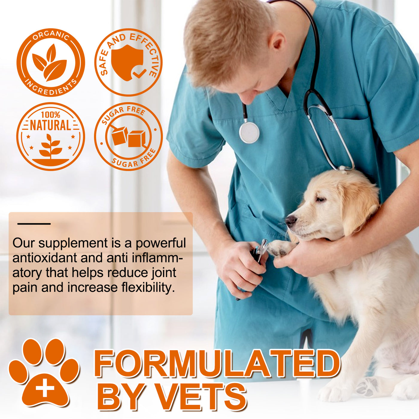 Oimmal Turmeric Curcumin Supplement for Dogs