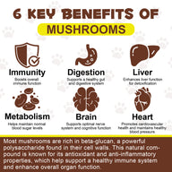 Oimmal Wild Mushroom Superblend 120g - 2Pack