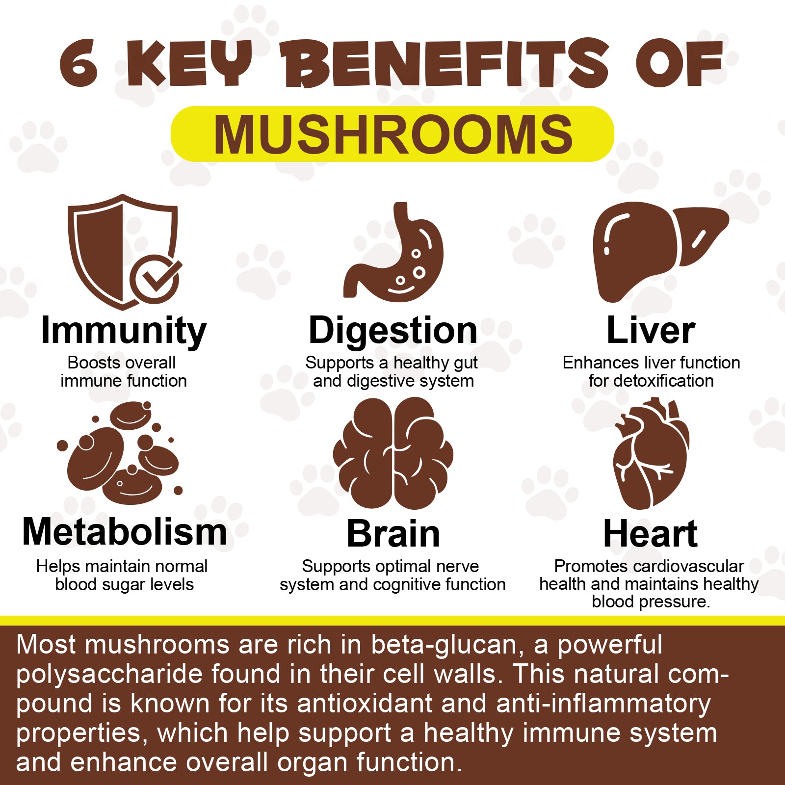 Oimmal Wild Mushroom Superblend 120g - 2Pack