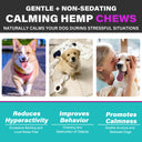 Oimmal Hemp Calming Chews - 60 Chews / Beef Flavor