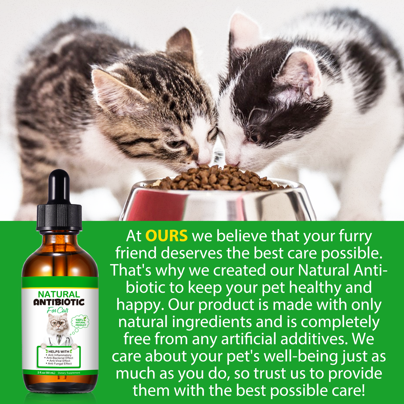 Oimmal Natural Antibiotic Drops for Cats