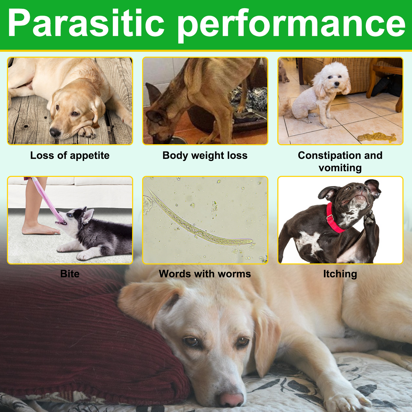 Oimmal 150pcs Dog Flea & Tick Chews (Peking Duck Flavor) - 3Pack