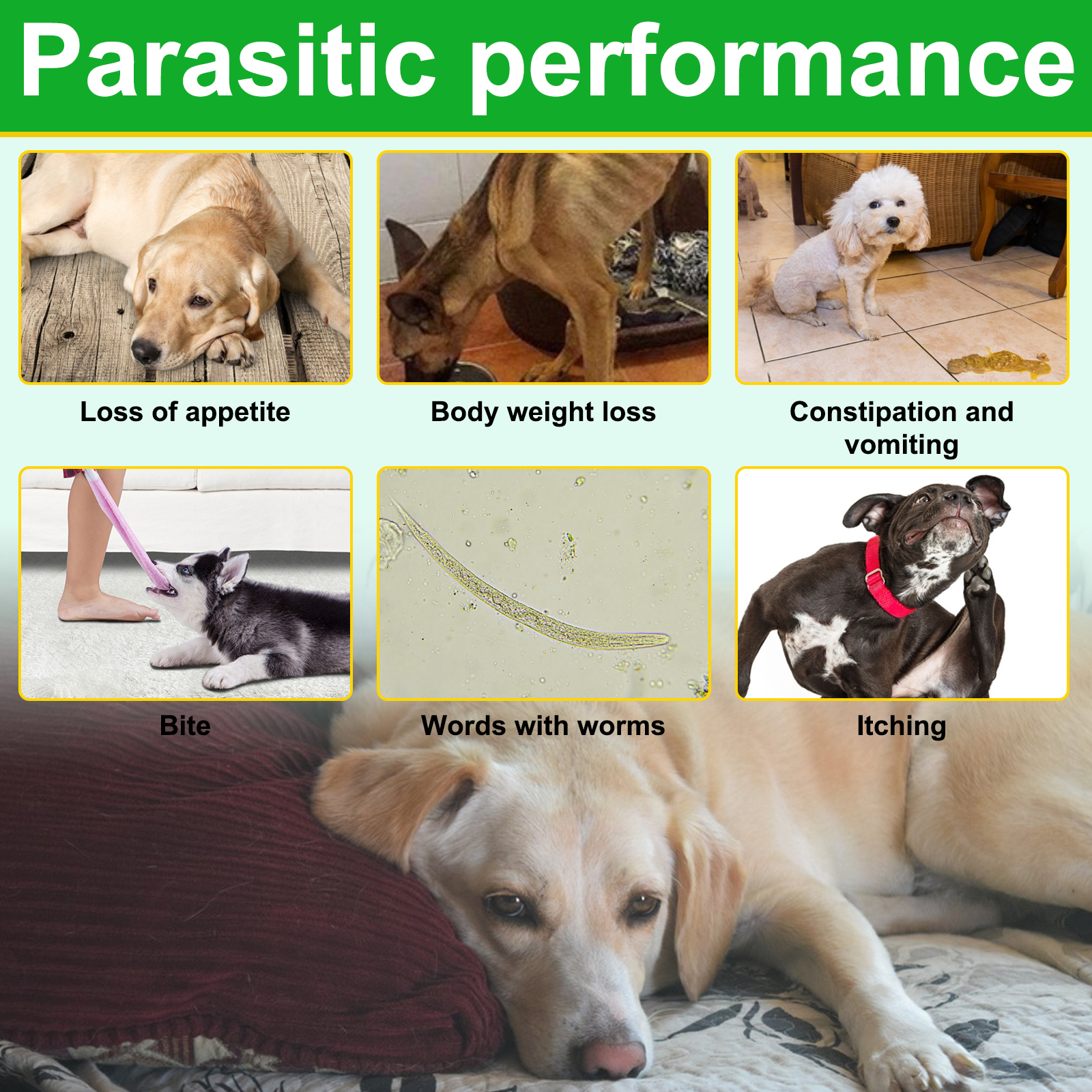 Oimmal 150pcs Dog Flea & Tick Chews (Peking Duck Flavor) - 3Pack