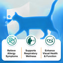 Oimmal L-Lysine Immune Support for Cat