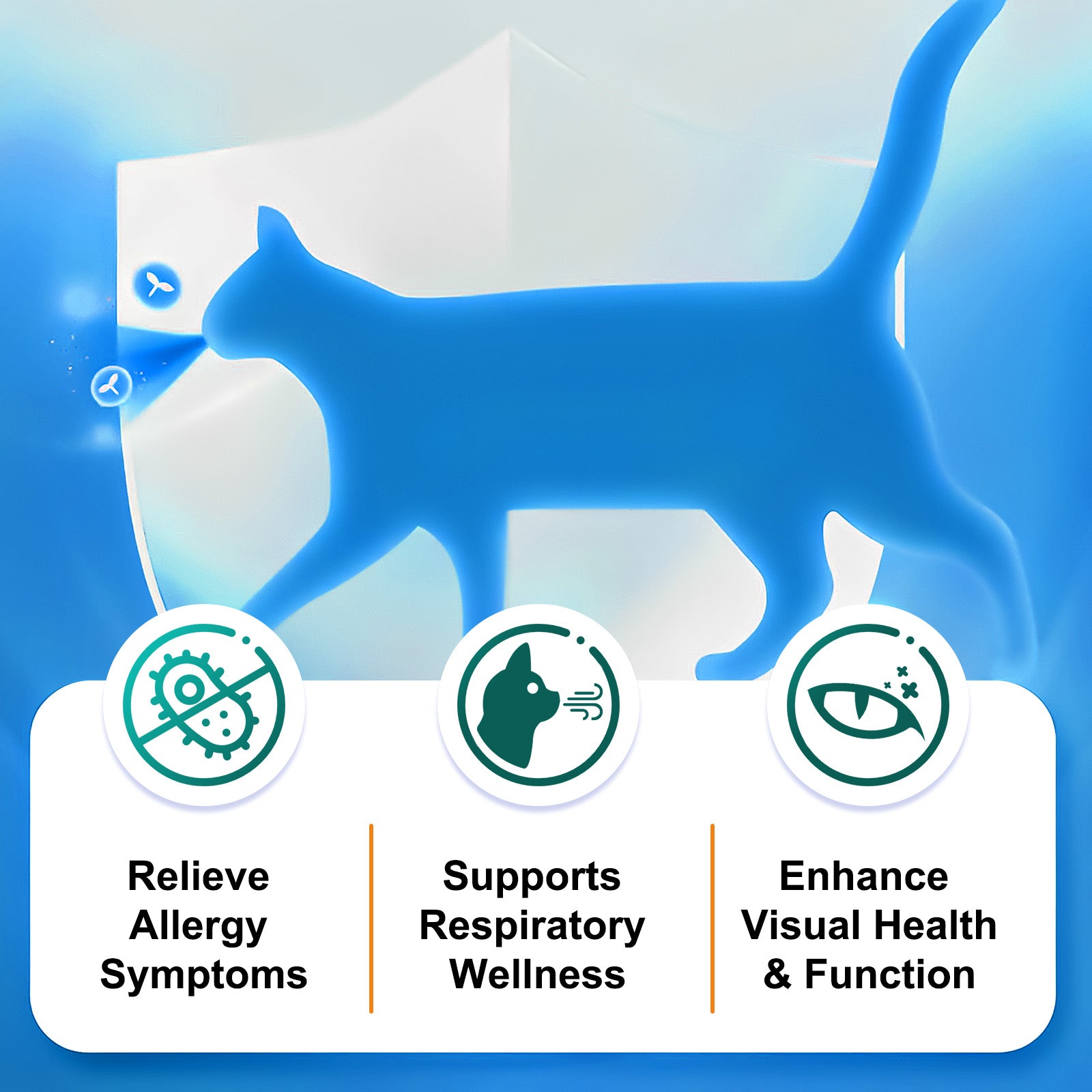 Oimmal L-Lysine Immune Support for Cat