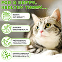 Oimmal Cats 3in1 Probiotic Drops - 1Pack