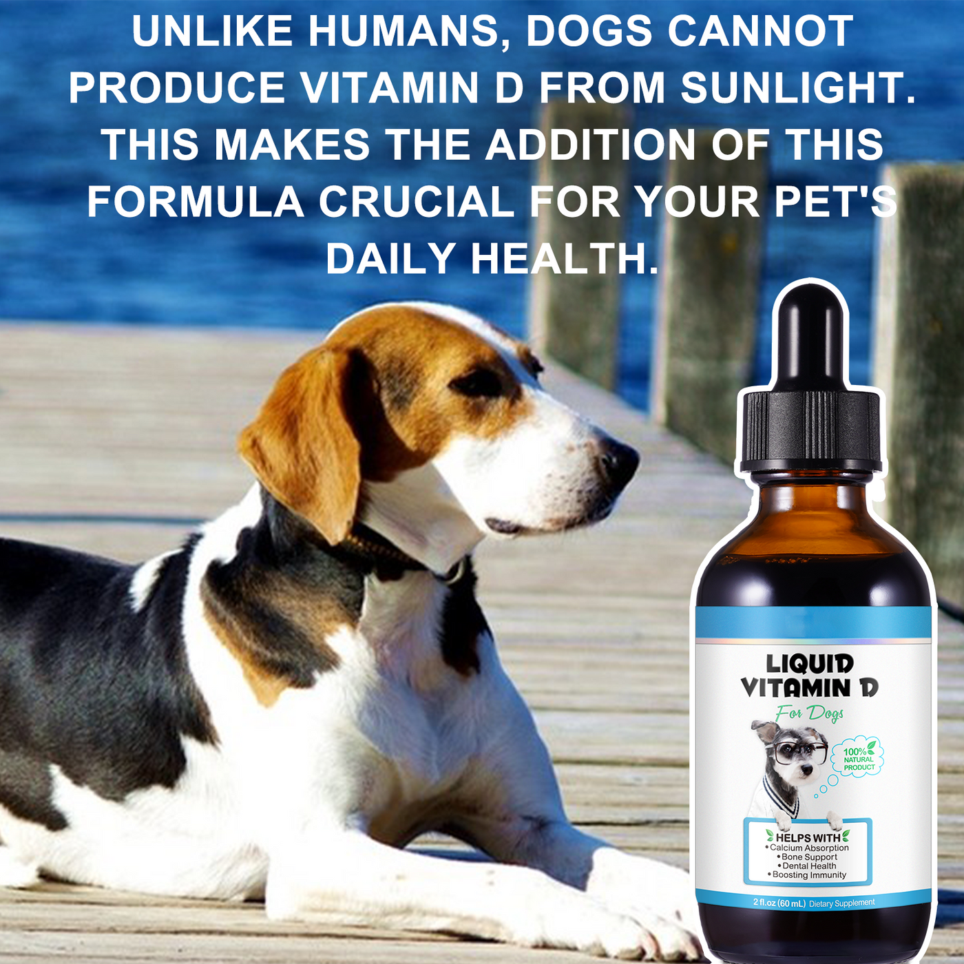 Oimmal Liquid Vitamin D Drops for Dogs