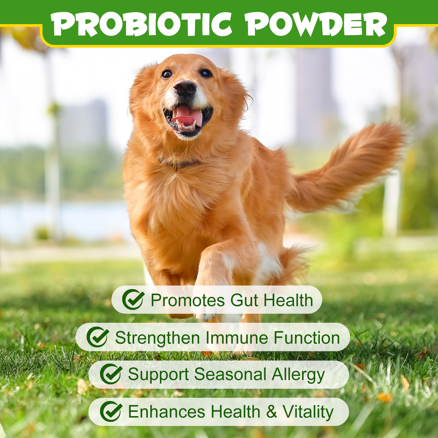 Oimmal Dog Probiotics Powder 120g - 2Pack
