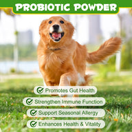 Oimmal Dog Probiotics Powder 120g - 1Pack