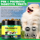 Oimmal Pre & Probiotic Digestive Chews - 2 Packs