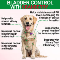 Oimmal 150pcs Dog Bladder Control Chews (Peking Duck Flavor) - 2Pack