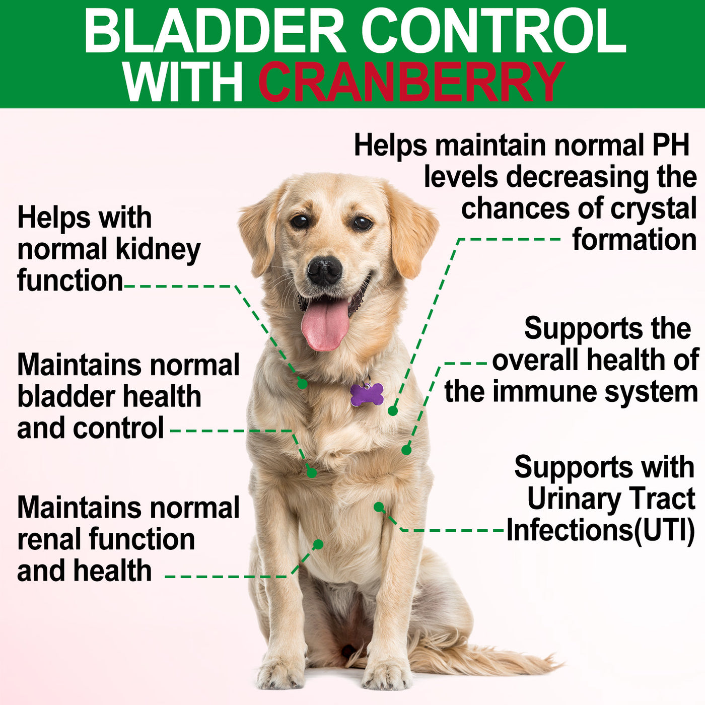 Oimmal 150pcs Dog Bladder Control Chews (Peking Duck Flavor) - 2Pack