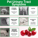 Oimmal 150pcs Dog Bladder Control Chews (Peking Duck Flavor) - 2Pack
