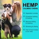 Oimmal Hemp Calming Chews - 60 Chews / Peking Duck Flavor