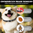 Oimmal Flea & Tick Collar for Dogs (4 Collars) - Black