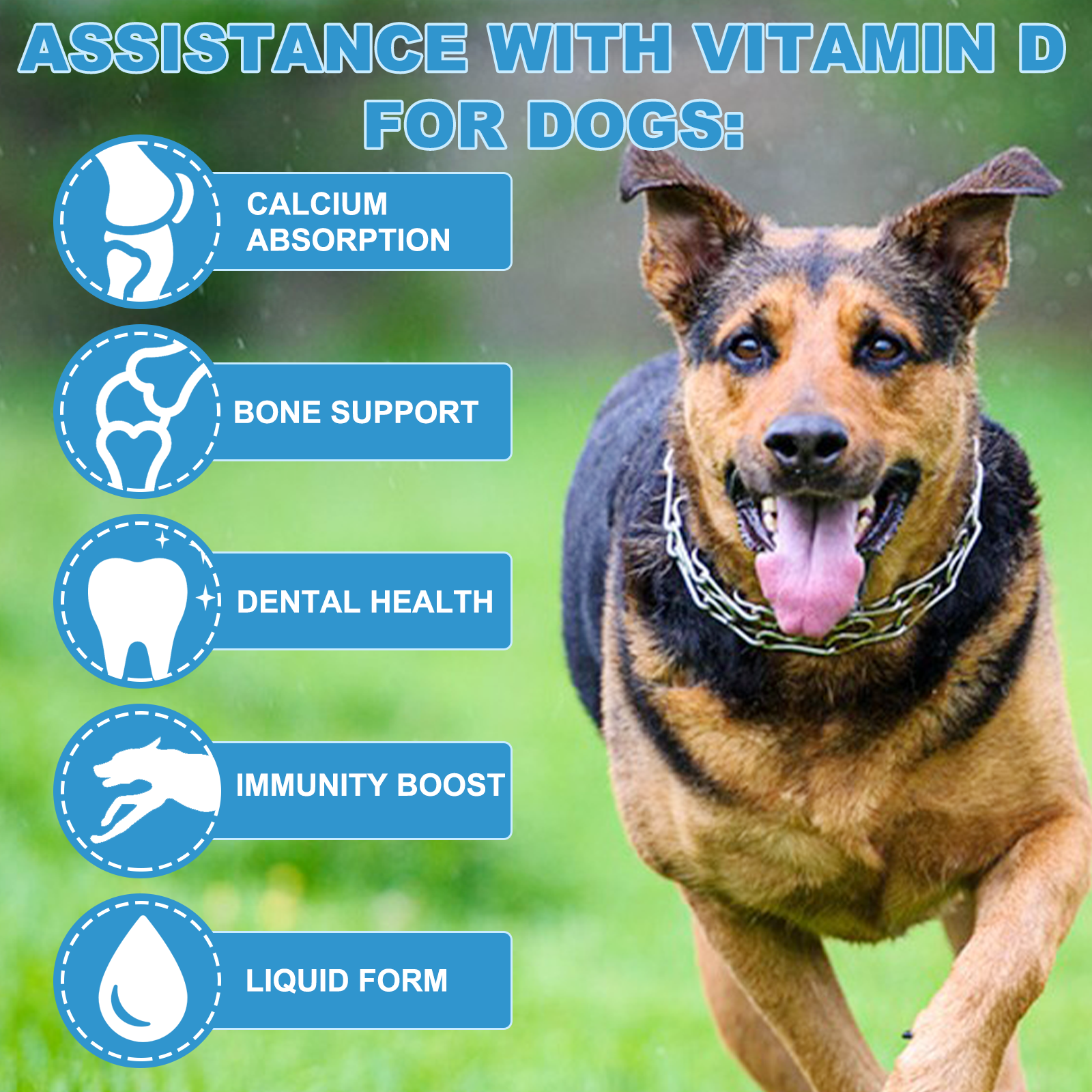 Oimmal Liquid Vitamin D Drops for Dogs