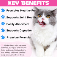 Oimmal Collagen Drops for Cats - 2Pack