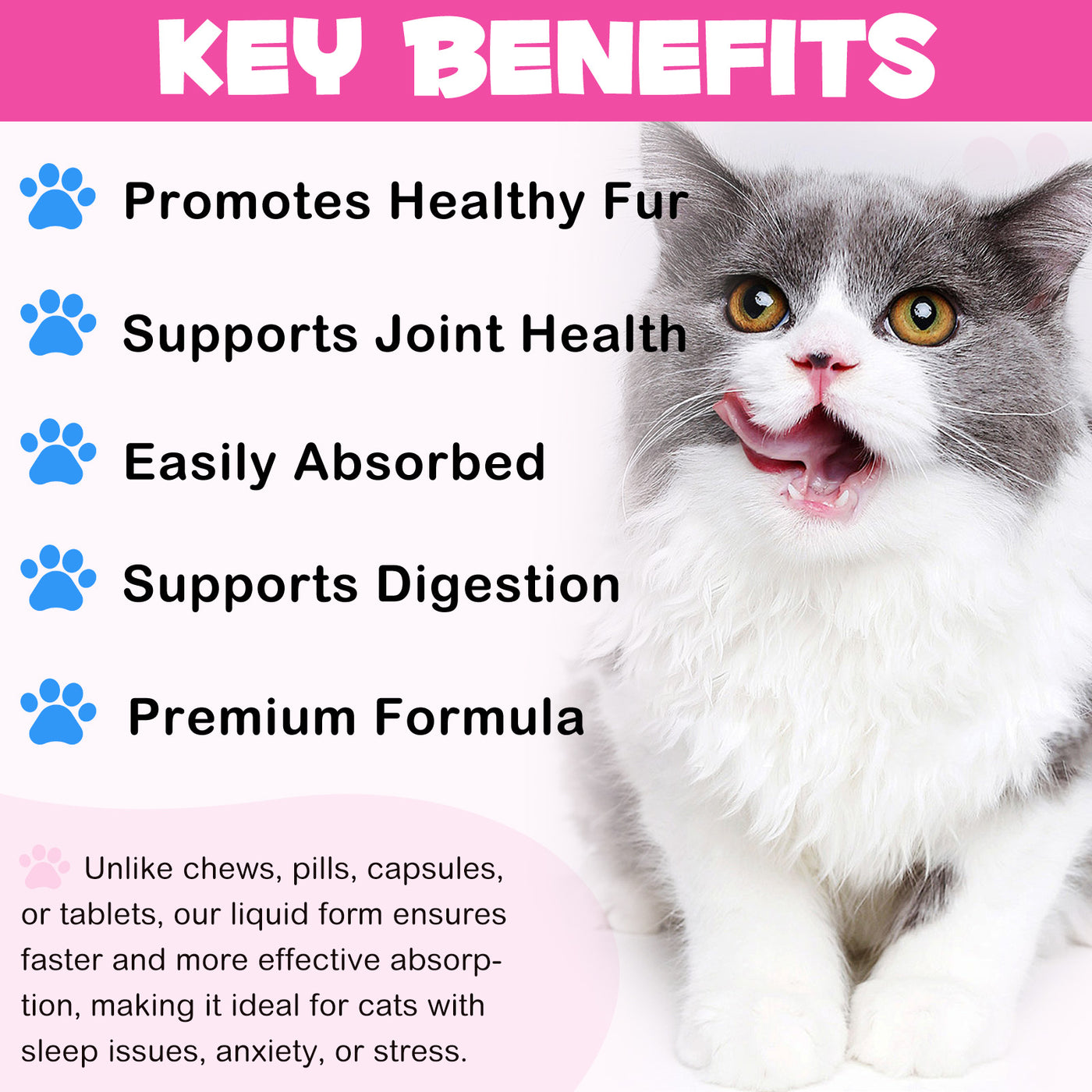 Oimmal Collagen Drops for Cats - 2Pack