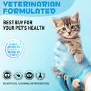 Oimmal Kennel Cough Treatment for Cats - 2Pack