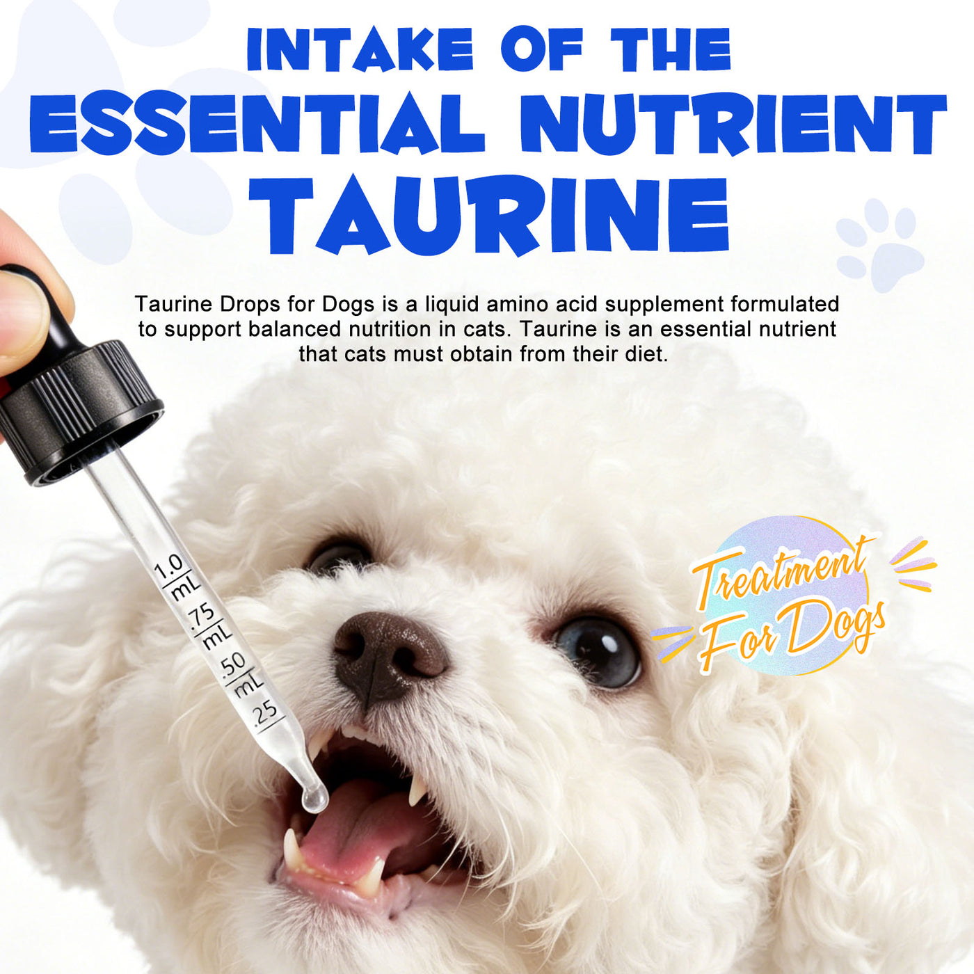 Oimmal Taurine Drops for Dog - 1Pack