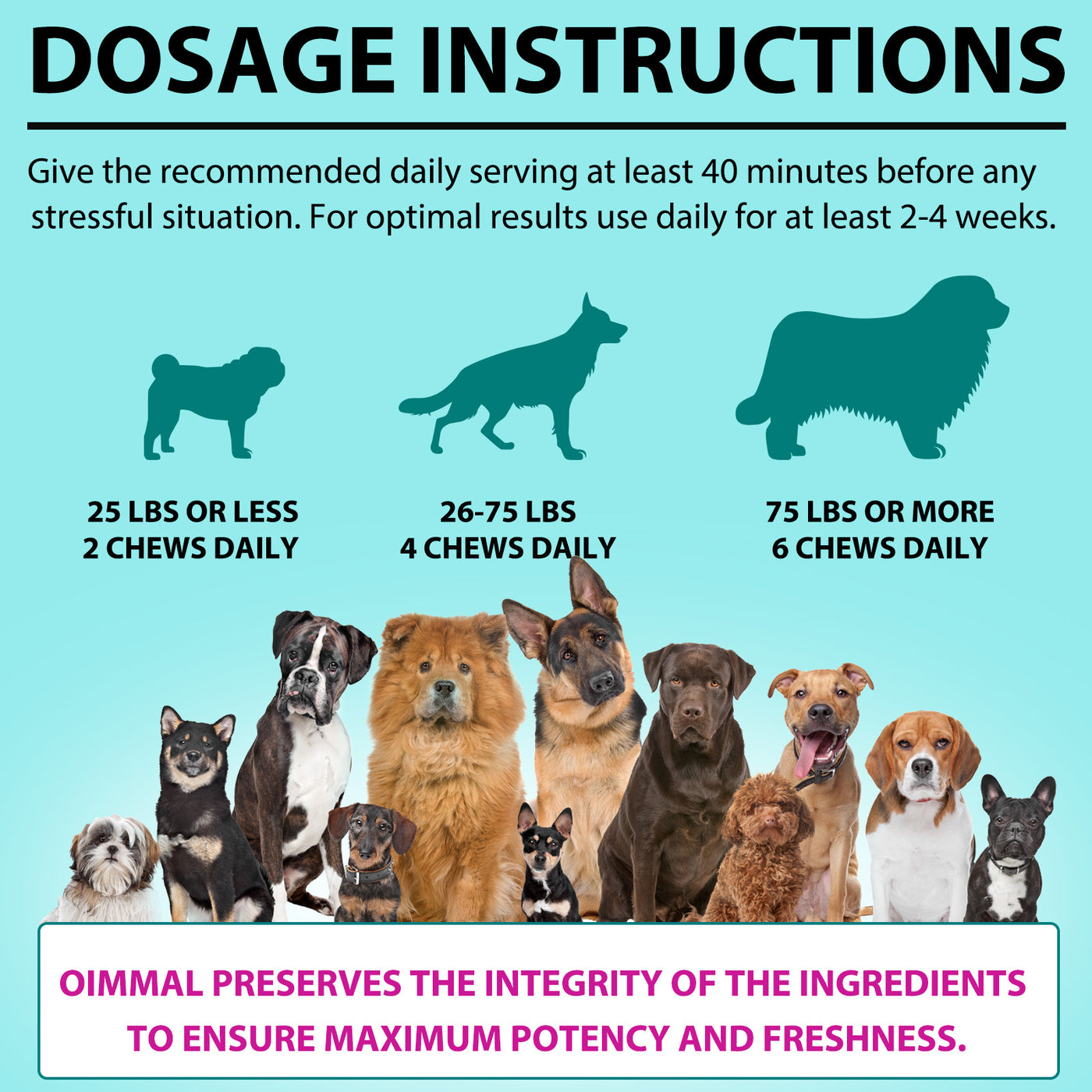 Oimmal Hemp Calming Chews - 60 Chews / Beef Flavor